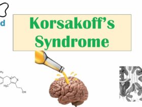 Wernicke–Korsakoff syndrome and alcohol