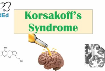 Wernicke–Korsakoff syndrome and alcohol