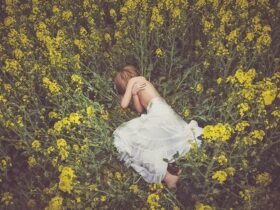 Steps to Recovering from a Toxic Trauma Bond