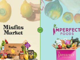 Misfits Market vs Imperfect Foods: What is the best product delivery in 2022?