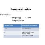 Ponderal Index Calculator