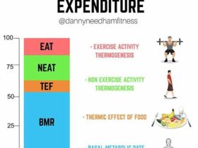 BEE Calculator (Basal Energy Expenditure)