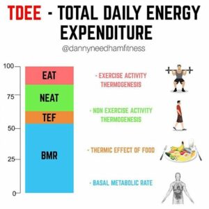 Read more about the article BEE Calculator (Basal Energy Expenditure)