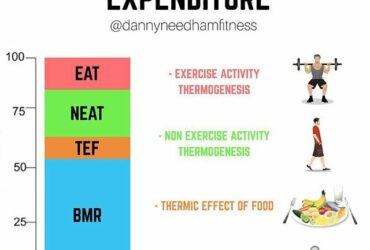 BEE Calculator (Basal Energy Expenditure)