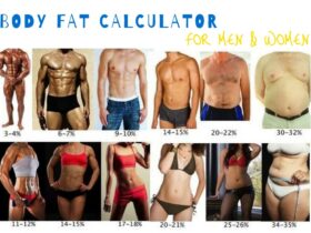 Body Fat Calculator