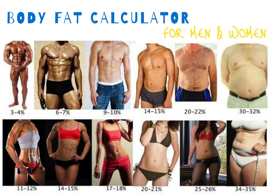 Read more about the article Body Fat Calculator