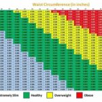 Waist to Height Ratio Calculator