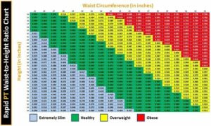 Read more about the article Waist to Height Ratio Calculator