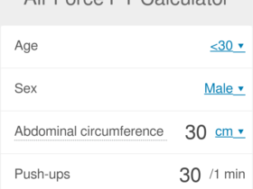 Air Force PT Calculator