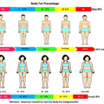 Navy Body Fat Calculator