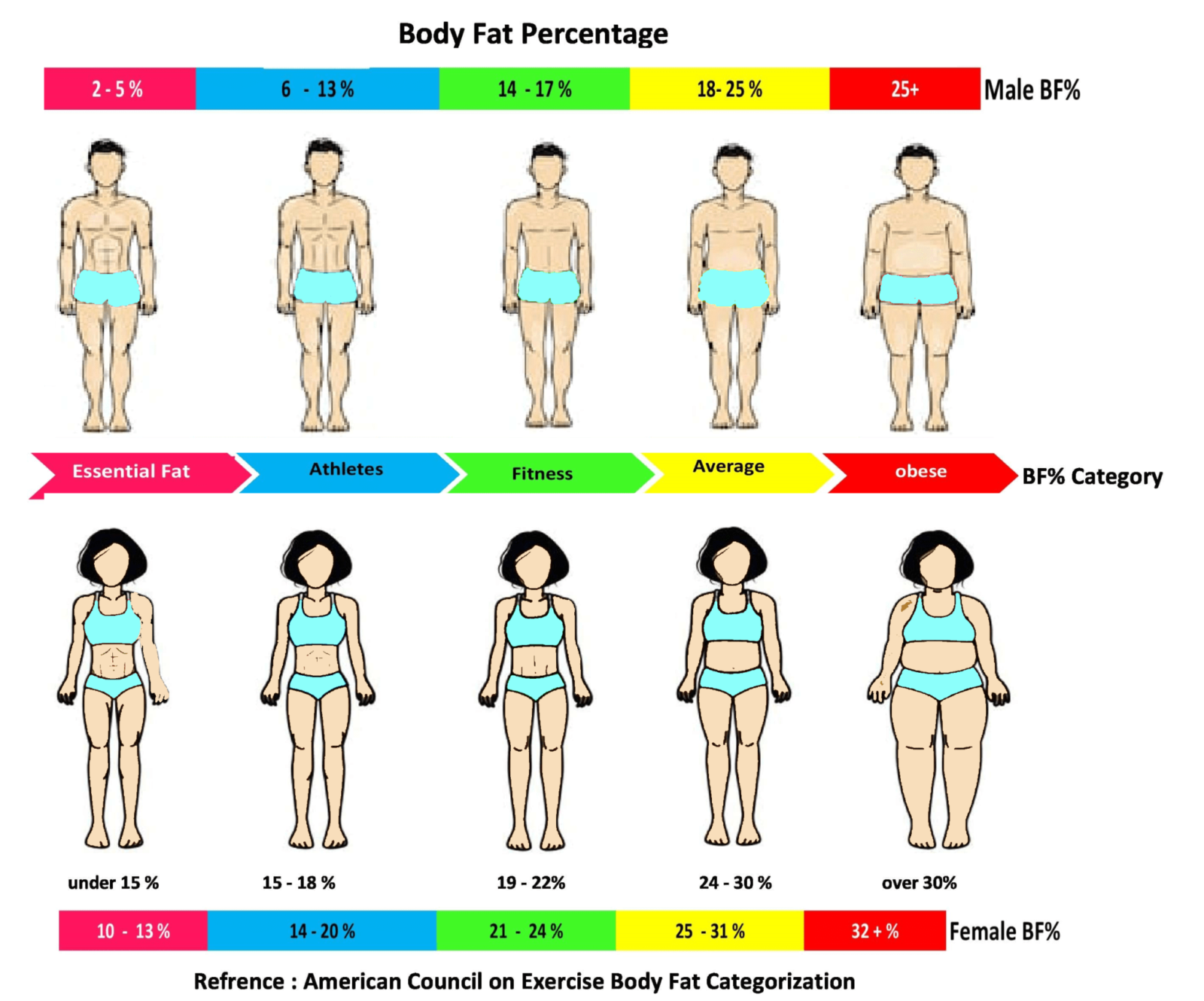 Navy body. Body fat percentage. Body fat calculator. Индекс массы тела. Us Navy Bodyfat.