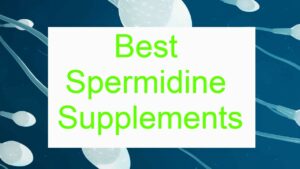 Read more about the article 4 Best Spermidine Supplements [2022 Review]: Read BEFORE Buying