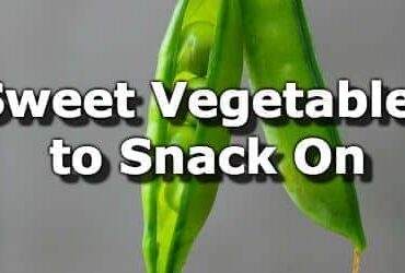 vegetables to snack on