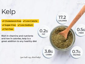 Kelp Nutrition Facts and Health Benefits