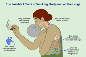 Read more about the article Side Effects of Smoking Marijuana Daily, According to Research