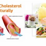 7 Ways to Lower Your Cholesterol Naturally