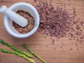 Best Grinders For Flax Seeds