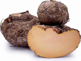 Elephant Yam: Uses, Benefits, Side Effects, Expert says