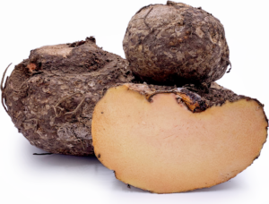 Read more about the article Elephant Yam: Uses, Benefits, Side Effects, Expert says