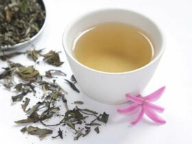 Incredible Benefits Of White Tea
