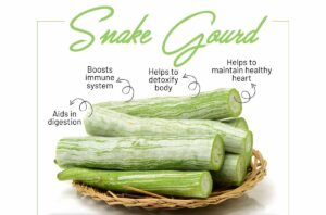 Read more about the article Snake Gourd: Health Benefits, Nutrition, Uses For Skin And Hair, Recipes, Side Effects