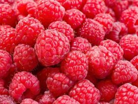 How To Freeze Raspberries
