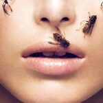 bee venom skincare powerfull antioxidant prototype