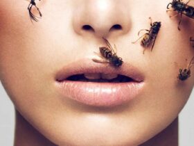 bee venom skincare powerfull antioxidant prototype
