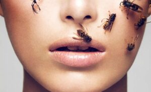 Lire la suite à propos de l’article Les bienfaits du Venin d’abeille pour la peau: puissant prototype antioxydant