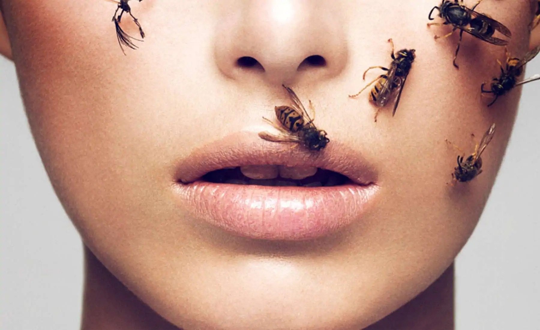 Read more about the article bee venom skincare: powerfull antioxidant prototype