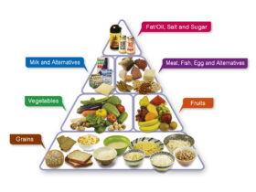The Food Pyramid – A Guide to a Balanced Diet
