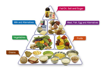 The Food Pyramid – A Guide to a Balanced Diet