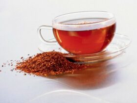 12 beneficios para la salud del té rojo Rooibos