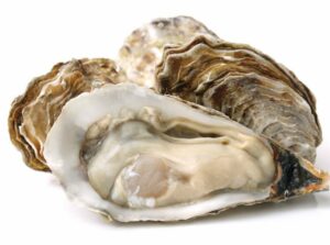 Lee más sobre el artículo Datos nutricionales y beneficios para la salud de la salsa de ostras