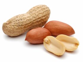 Peanuts properties, benefits and virtues for health