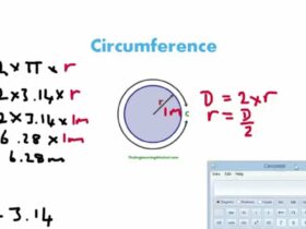 Circumference Calculator