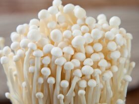 What Are Enoki Mushrooms