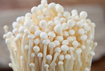 What Are Enoki Mushrooms