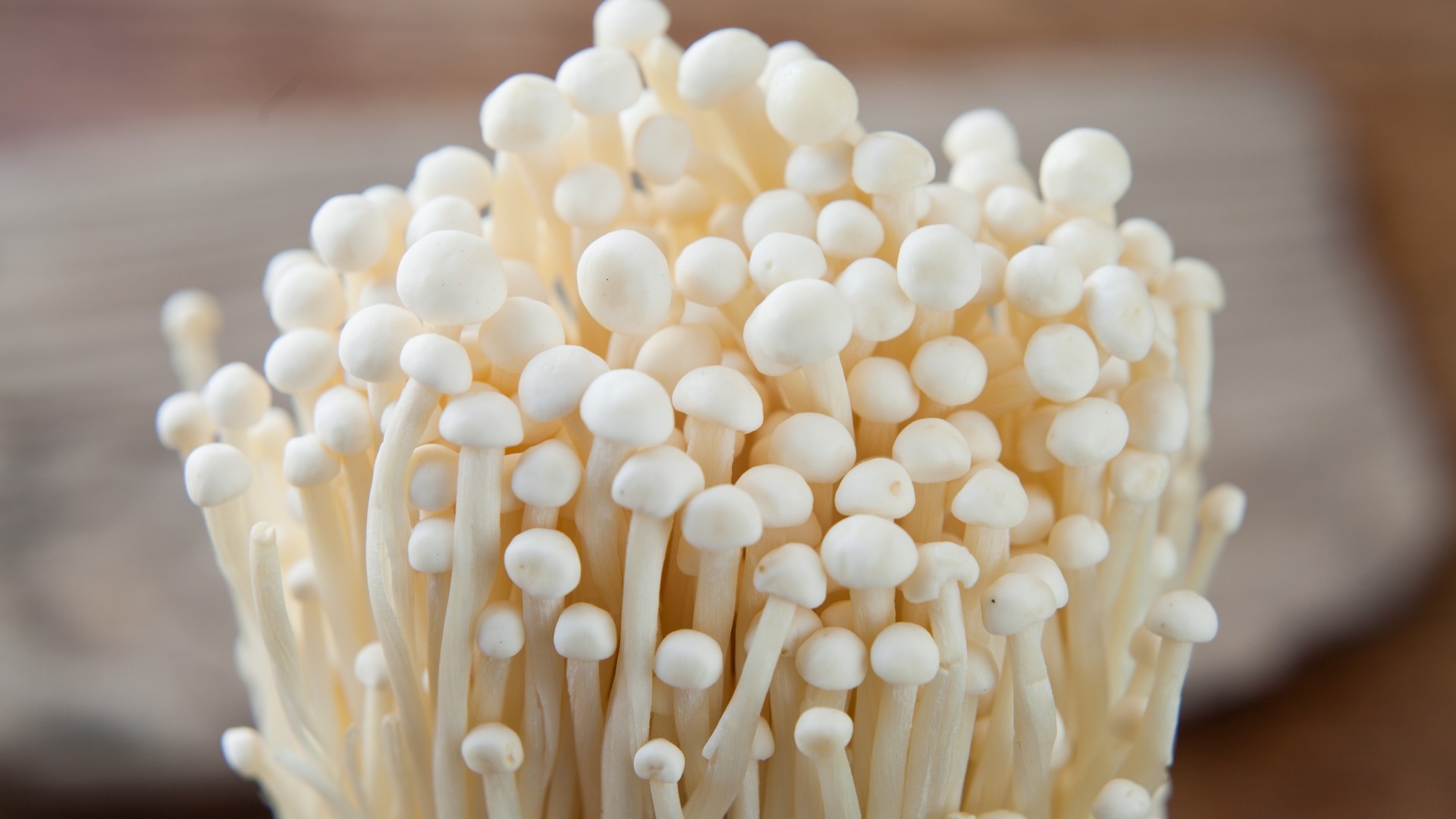 Read more about the article What Are Enoki Mushrooms?