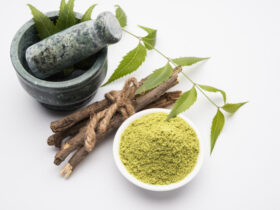 Poudre De Neem : Bienfaits, Utilisations Et Comment Faire