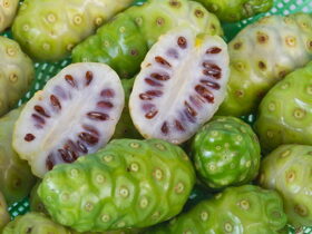 12 bienfaits Impressionnants Du Jus De Noni