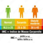 Calculateur IMC - Indice de Masse Corporelle