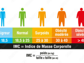 Calculateur IMC - Indice de Masse Corporelle