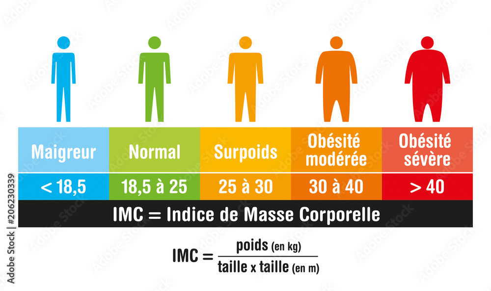 Lire la suite à propos de l’article Calculateur IMC – Indice de Masse Corporelle