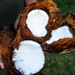 Coconut Coir What It Is And Which To Get