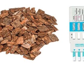 Benefits & Side Effects Of Palo Azul Tea