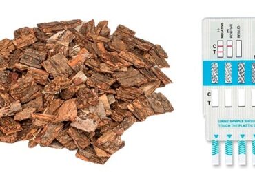 Benefits & Side Effects Of Palo Azul Tea