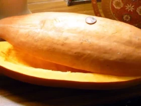 What Is Banana Squash & How To Cook It