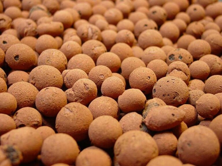 Hydroton Expanded Clay Pebbles: A Versatile and Eco-Friendly Growing Media for Hydroponics