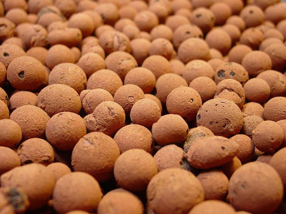 Read more about the article Hydroton Expanded Clay Pebbles: A Versatile and Eco-Friendly Growing Media for Hydroponics